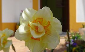 Mira Vila By Stay In Alentejo For Hikers